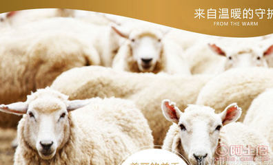 冬季暖潮 加厚打底褲如何成為市場爆款？——以諸暨市周婉錦針織產品為例